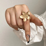 Irregular Matte Chunky Gold Silver Color Charm Rings